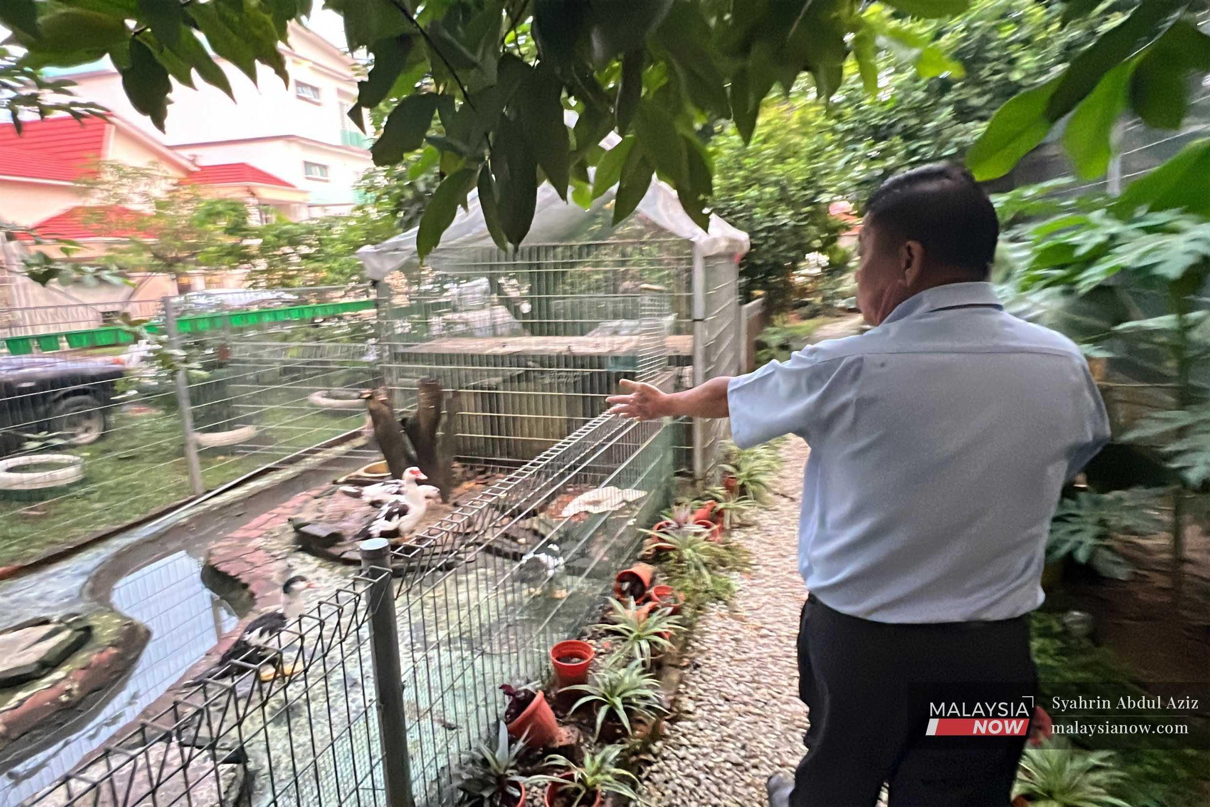 Seorang penduduk Taman Selayang Indah menunjukkan beberapa haiwan yang dipelihara di dalam kandang berhampiran kawasan perumahan itu.