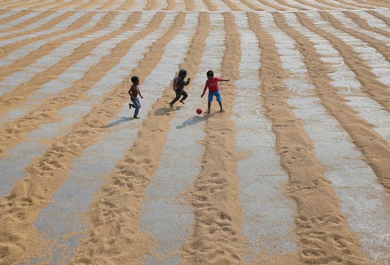 Children play with a ball after rice is spread for drying at a rice mill on the outskirts of Kolkata, India, Jan 31, 2019. Photo: Reuters