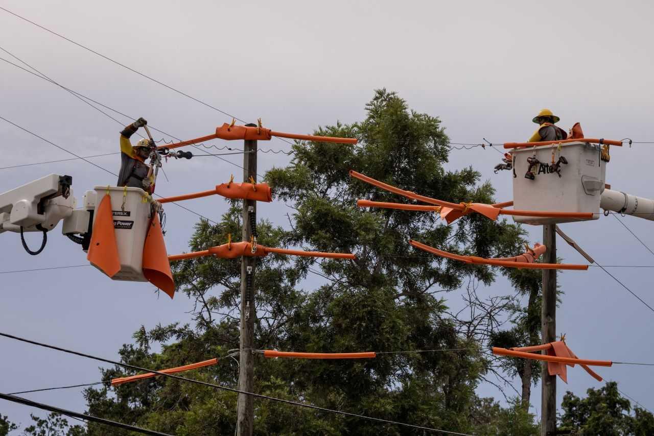 Workers with Pike Electric fortify power lines ahead of Hurricane Idalia in Clearwater, Florida, US, Aug 29. Photo: Reuters