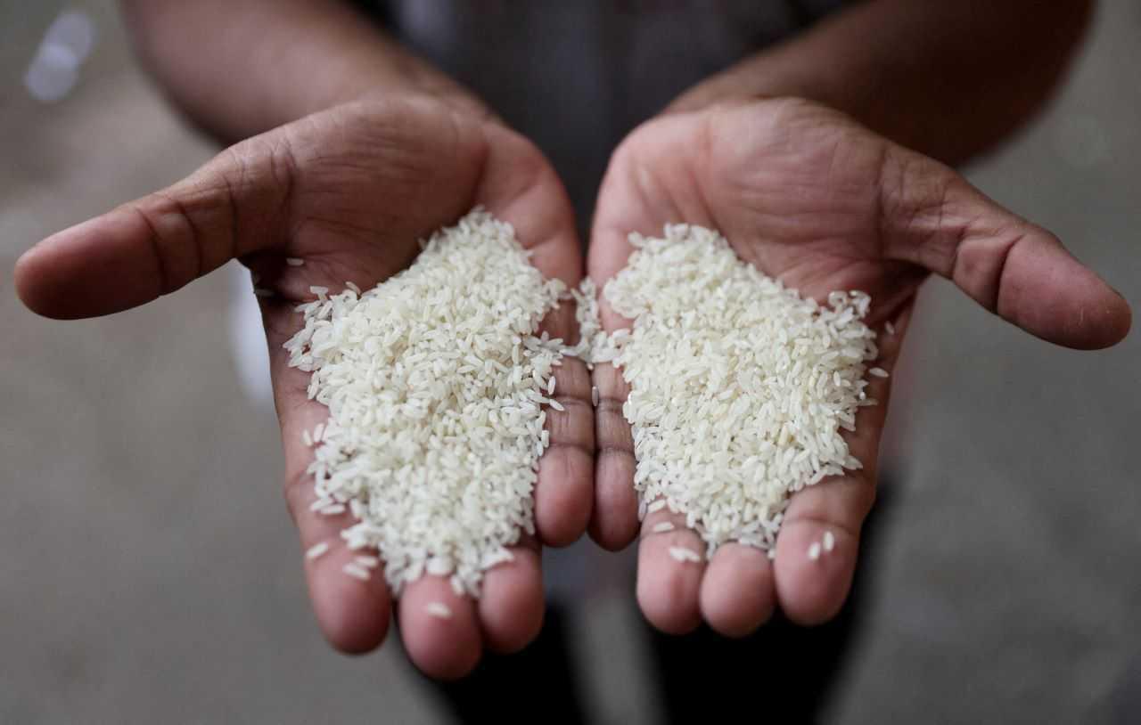 2023-08-10T120600Z_349680389_RC2TG2AT3NCY_RTRMADP_3_ASIA-RICE