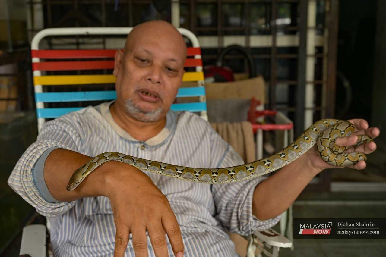 Jebat's father, Jali Salleh, aged 63, shares his passion for breeding local pythons. Despite initial resistance from his father, they have since found common ground and now share this hobby.