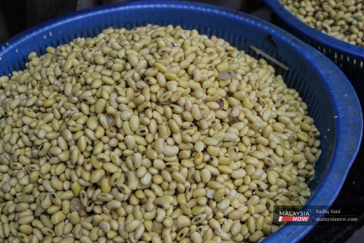 Kacang soya segar direndam semalaman dan ditapis sebelum dimasukkan ke dalam mesin pengisar. Sebanyak 120kg kacang soya digunakan sehari.