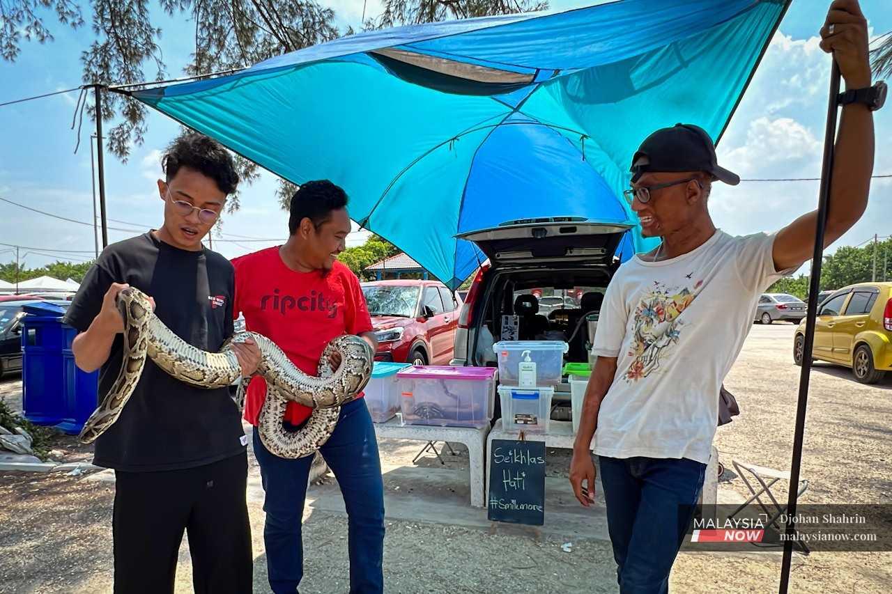 Over the weekends, Jebat and his wife set up an exhibition space in Pantai Remis, Jeram, for their exotic animals, sharing knowledge about them with the public.