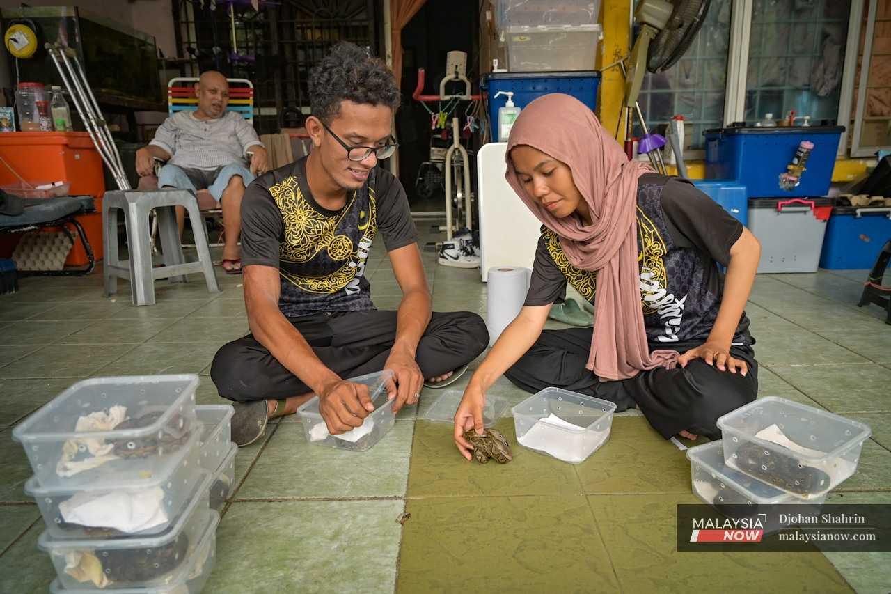 Isterinya, Nur Emi Aisyah Abdul Halim, 23, turut membantu menjaga anak ular sawa. Pada mulanya dia agak takut, namun selepas berkahwin Emi semakin memberanikan diri dari sehari ke sehari.