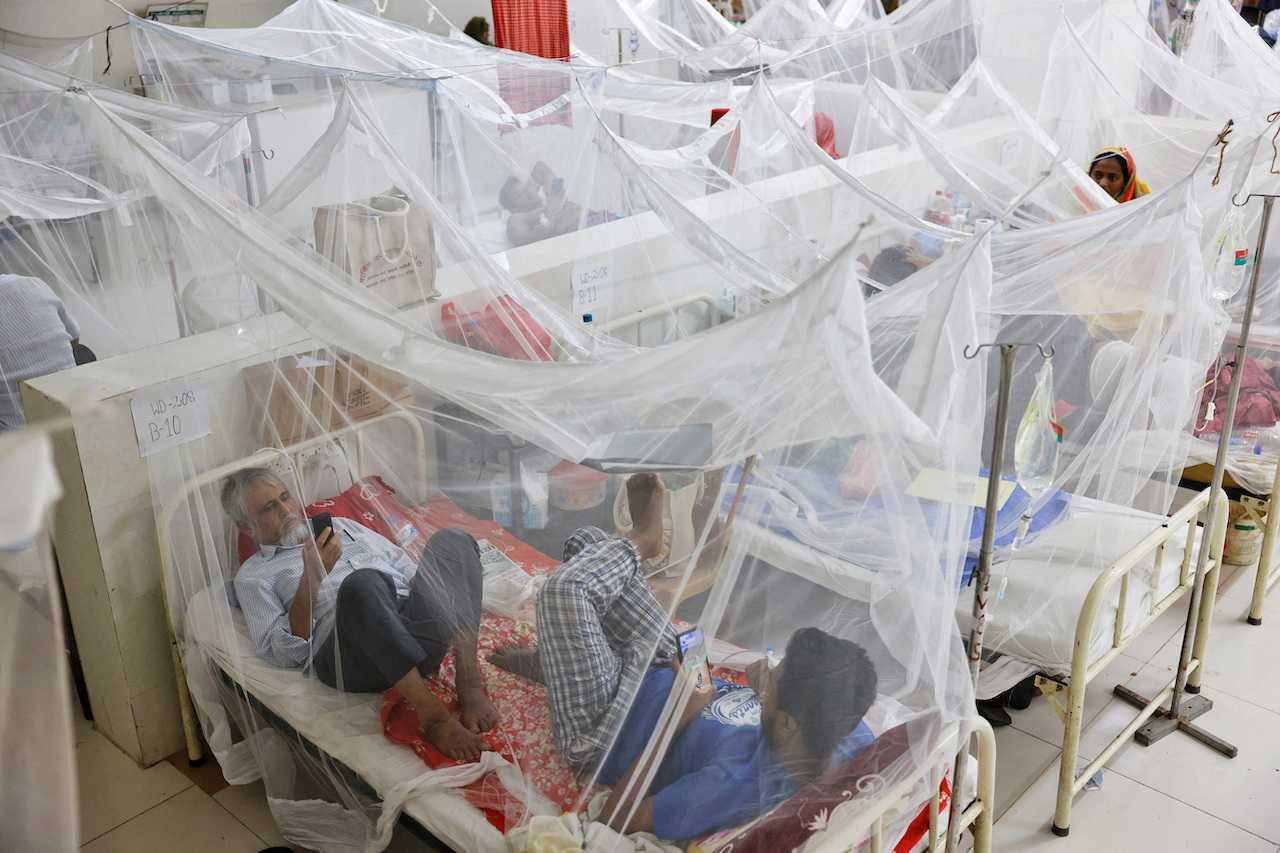 Dengue-infected patients stay under mosquito nets as they receive treatment at a hospital in Dhaka, Bangladesh, July 26. Photo: Reuters