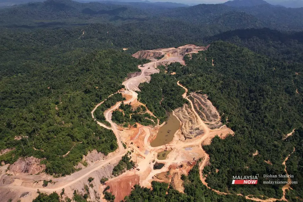 Malaysia’s vast forest reserves hold rare earths with a potential value of RM970 billion, waiting to be unlocked.