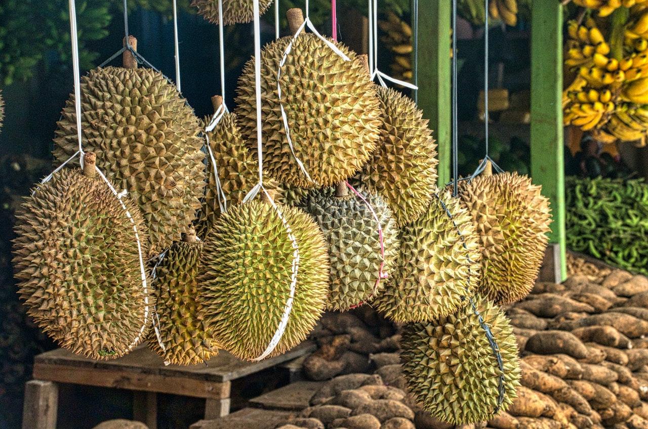 About 60% of all Musang King exports are said to come from the farms in Raub. Photo: Pexels