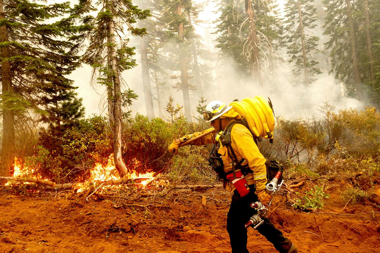 A fireman battles a blaze in Plumas National Forest, California, on Sept 14, 2020. Photo: AP