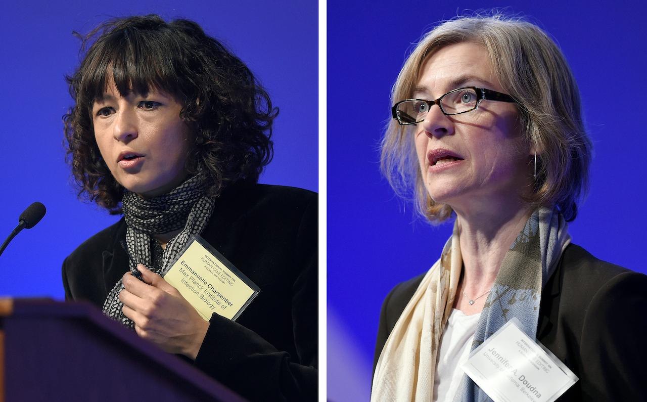 Emmanuelle Charpentier (left) and Jennifer Doudna are the first women to jointly win the Nobel Prize in Chemistry. Photo: AP