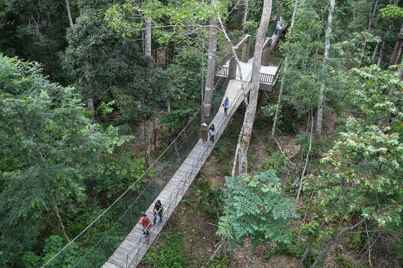 Perkampungan Konservasi Gajah Kenyir, Tasik Kenyir, Terengganu antara hutan rizab kekal di negara ini. Gambar: Bernama