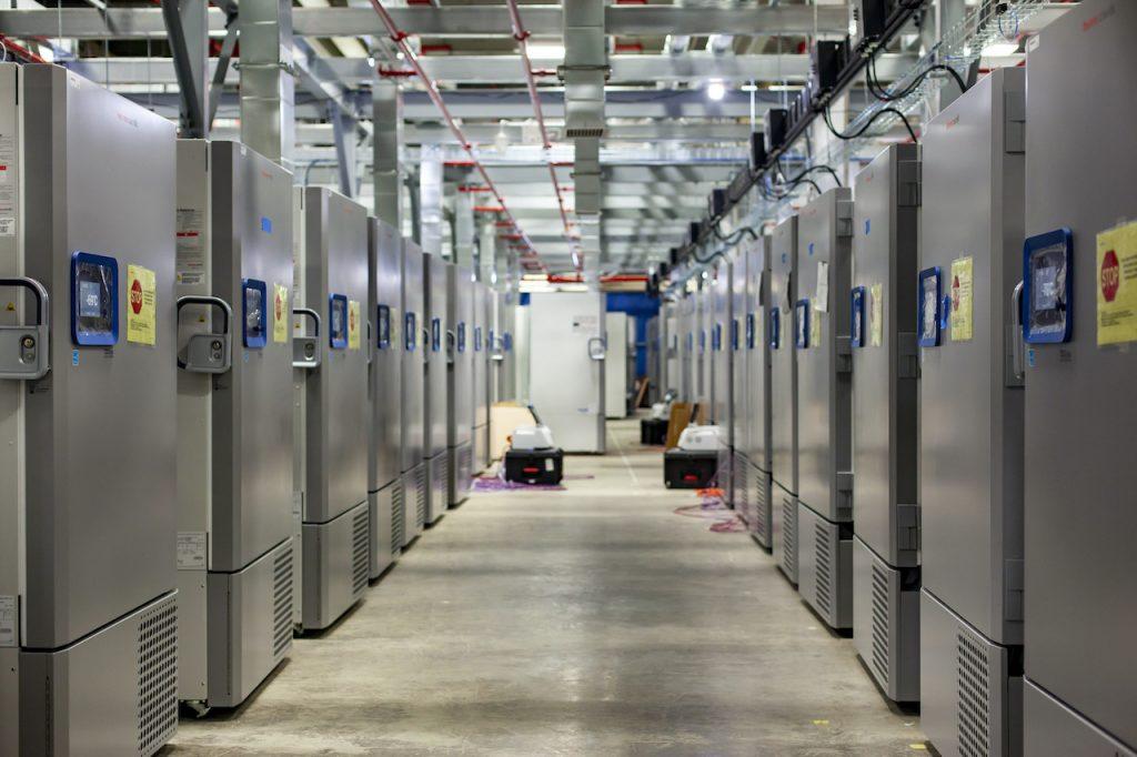 An example of a 'freezer farm', a facility used to store finished Covid-19 vaccines. Photo: AP