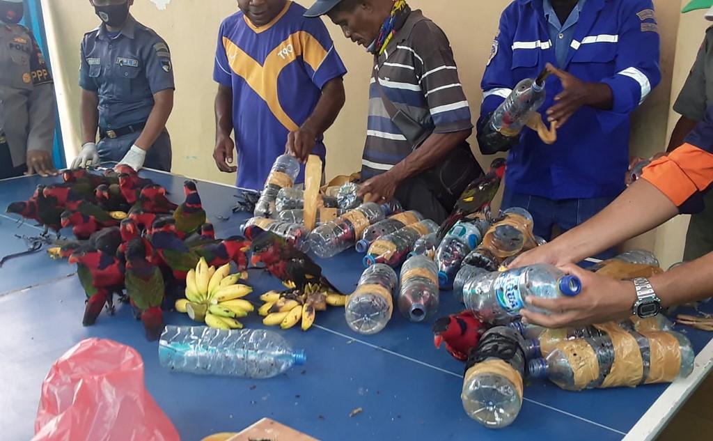 Officials free dozens of parrots found stuffed in plastic water bottles on a ship docked in Fakfak, Indonesia’s West Papua region. Photo: AFP