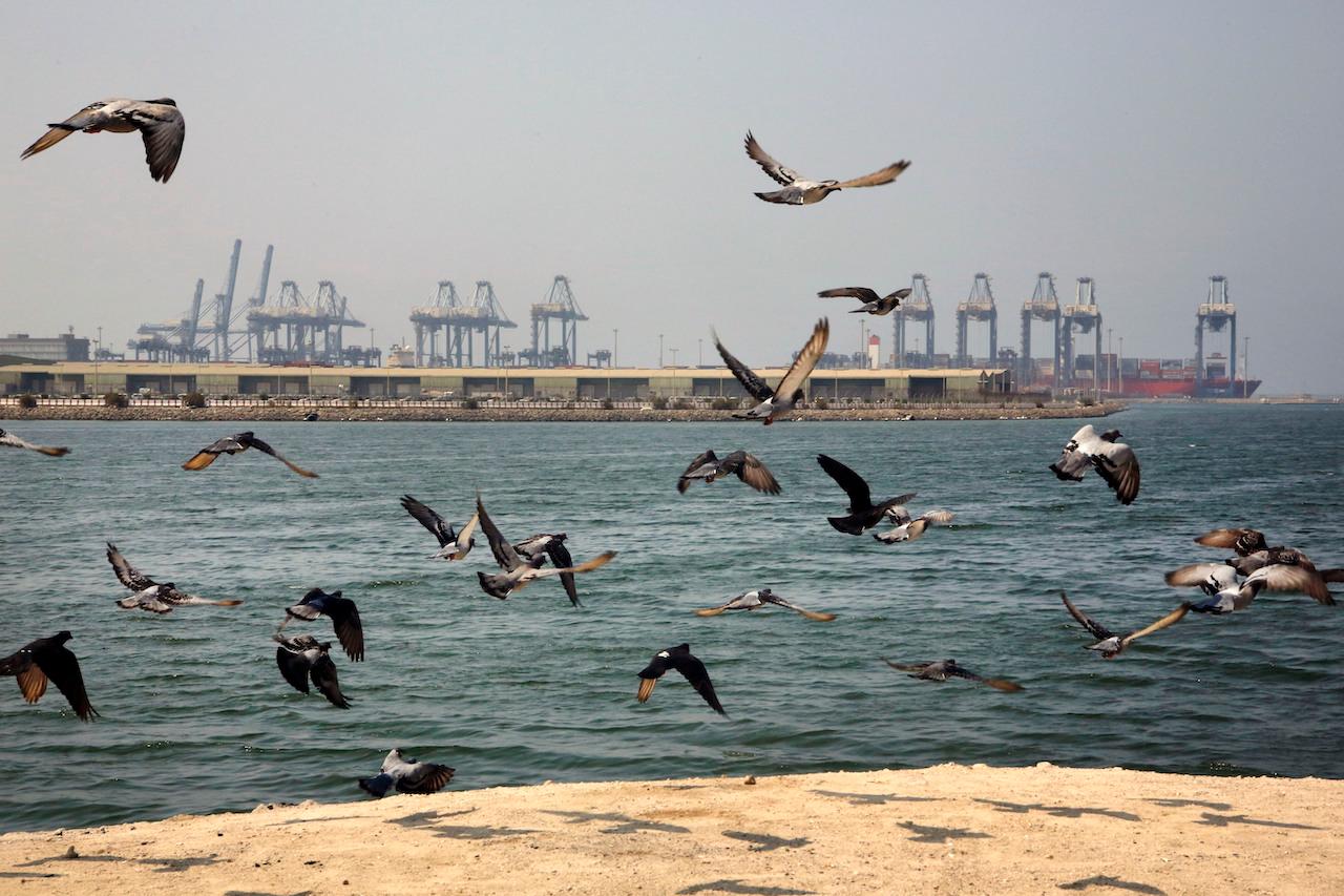 In this Oct 11, 2019 file photo, seagulls fly in front of the Red Sea port city of Jeddah, Saudi Arabia, where an explosion was reported Dec 14. Photo: AP