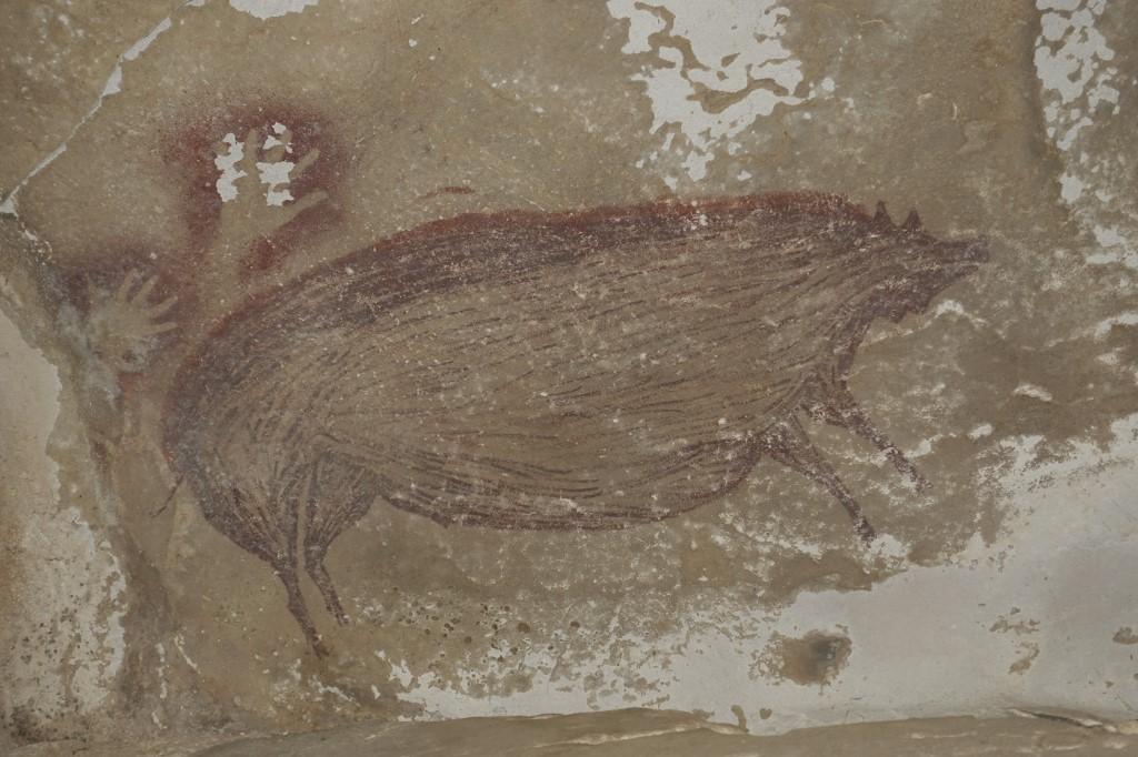 This undated handout photo shows a dated pig painting at Leang Tedongnge in Sulawesi, Indonesia. Archaeologists have discovered the world's oldest known cave painting: a life-sized picture of a wild pig that was made at least 45,500 years ago in Indonesia. Photo: AFP