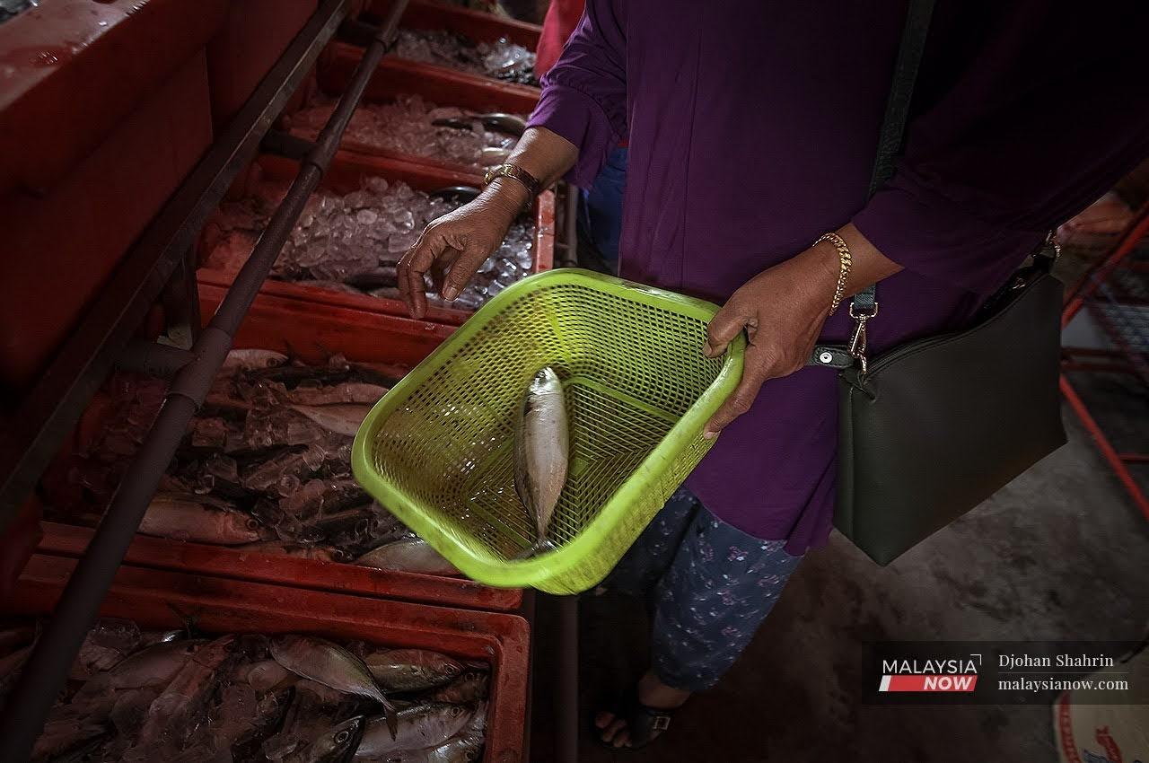 Stok ikan negara kini semakin berkurang akibat penangkapan ikan secara berlebihan. Dengan pelbagai usaha dilakukan jabatan perikanan ia diharap dapat memulihkan kembali populasi ikan negara.