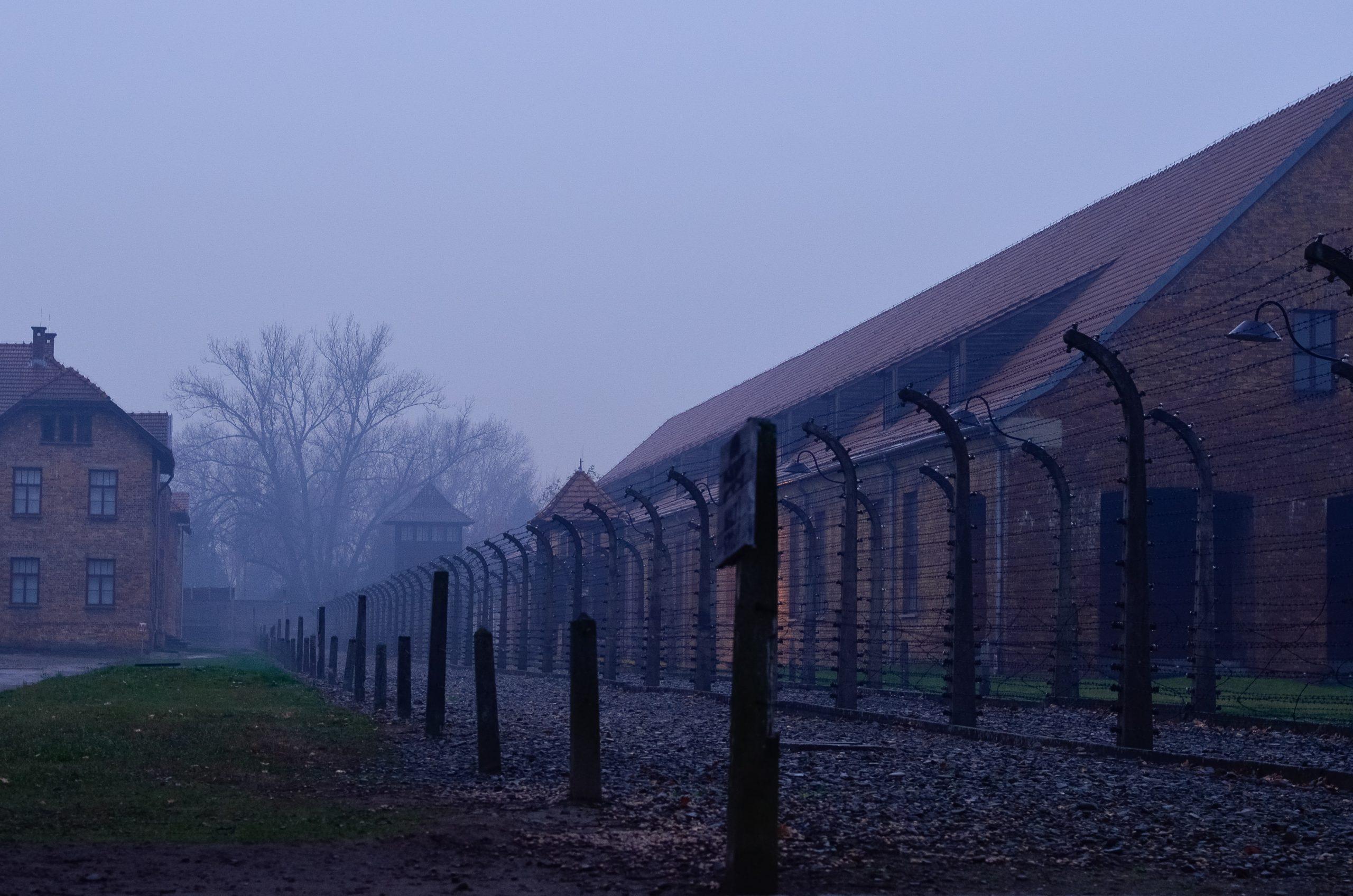 Of the more than 1.3 million people imprisoned in Auschwitz, around 1.1 million perished, either asphyxiated in the gas chambers or claimed by starvation, exhaustion and disease. Photo: Pexels