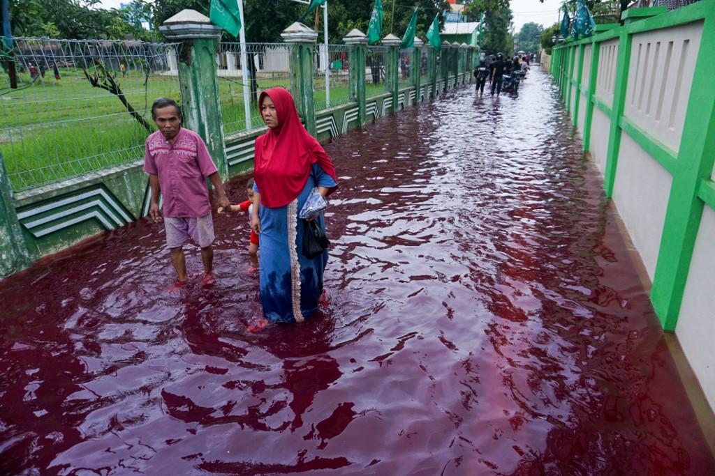 Residents wade through floodwaters dyed red from the waste of a batik factory, in Pekalongan, central Java, Feb 6. Photo: AFP