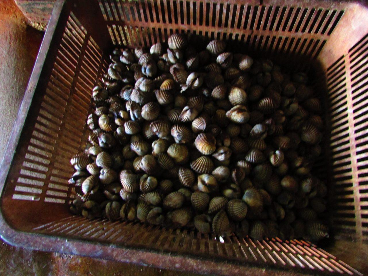 10 tahun lalu harga kerang sekitar RM3 sekilo tetapi kini telah mencecah RM14 sekilo.