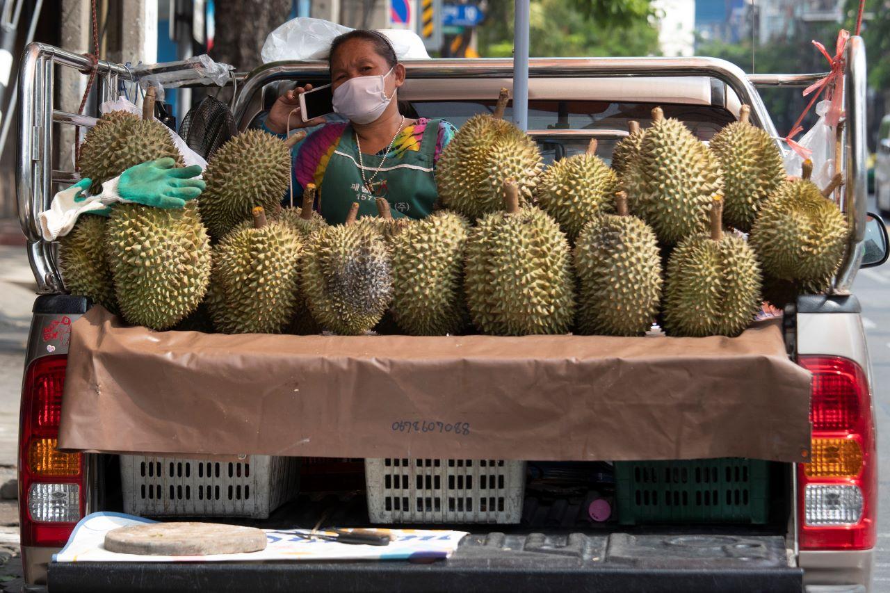 Durians can be found in Malaysia at all times of the year, though the fruit has bumper harvests at certain times. Photo: AP