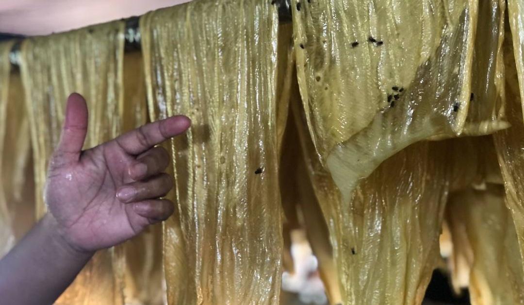 Fucuk yang dihasilkan oleh sebuah kilang yang beroperasi secara haram terletak di Jalan Valdor, Sungai Jawi telah dihinggapi lalat akibat persekitaran kilang yang tidak bersih dikhuatiri punca keracunan makanan. Gambar: Bernama