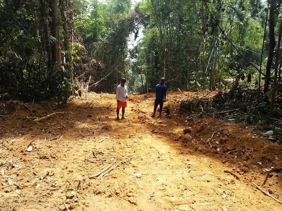 Much of the forest where the Semai Orang Asli villagers live in Pahang has already been destroyed by logging activities.