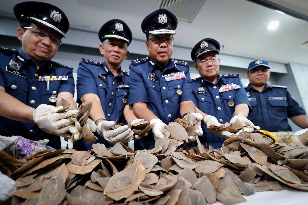 Customs officials show pangolin scales, part of a record 30 tonnes which were seized in Sabah in August 2017. Activists are sounding the alarm over the illegal wildlife trade in the country which they warn could lead to another pandemic like the Covid-19 outbreak. Photo: AP