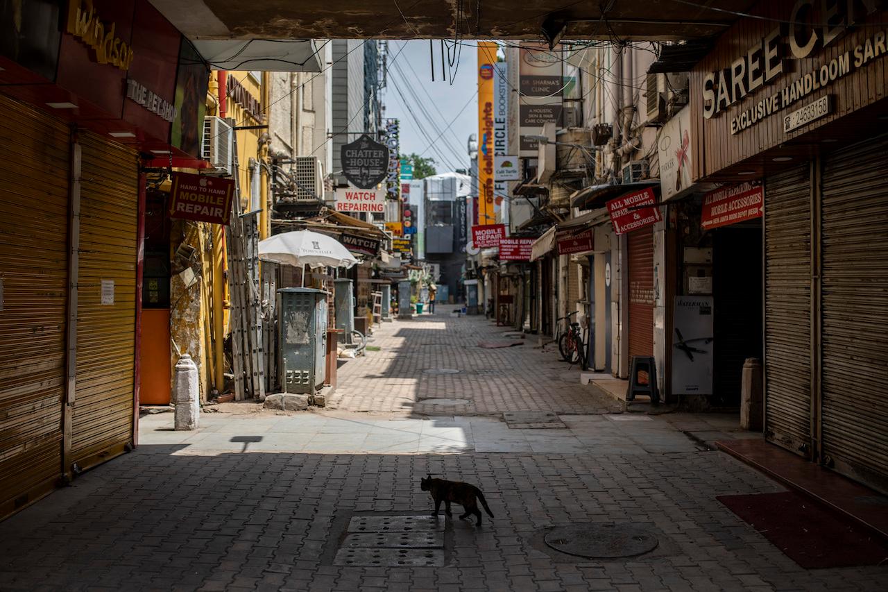 A cat walks in a deserted market area during a weekend lockdown in New Delhi, India, April 17. The capital city will come under a full one-week lockdown beginning Monday night as new cases surge over 200,000 for the fifth consecutive day. Photo: AP
