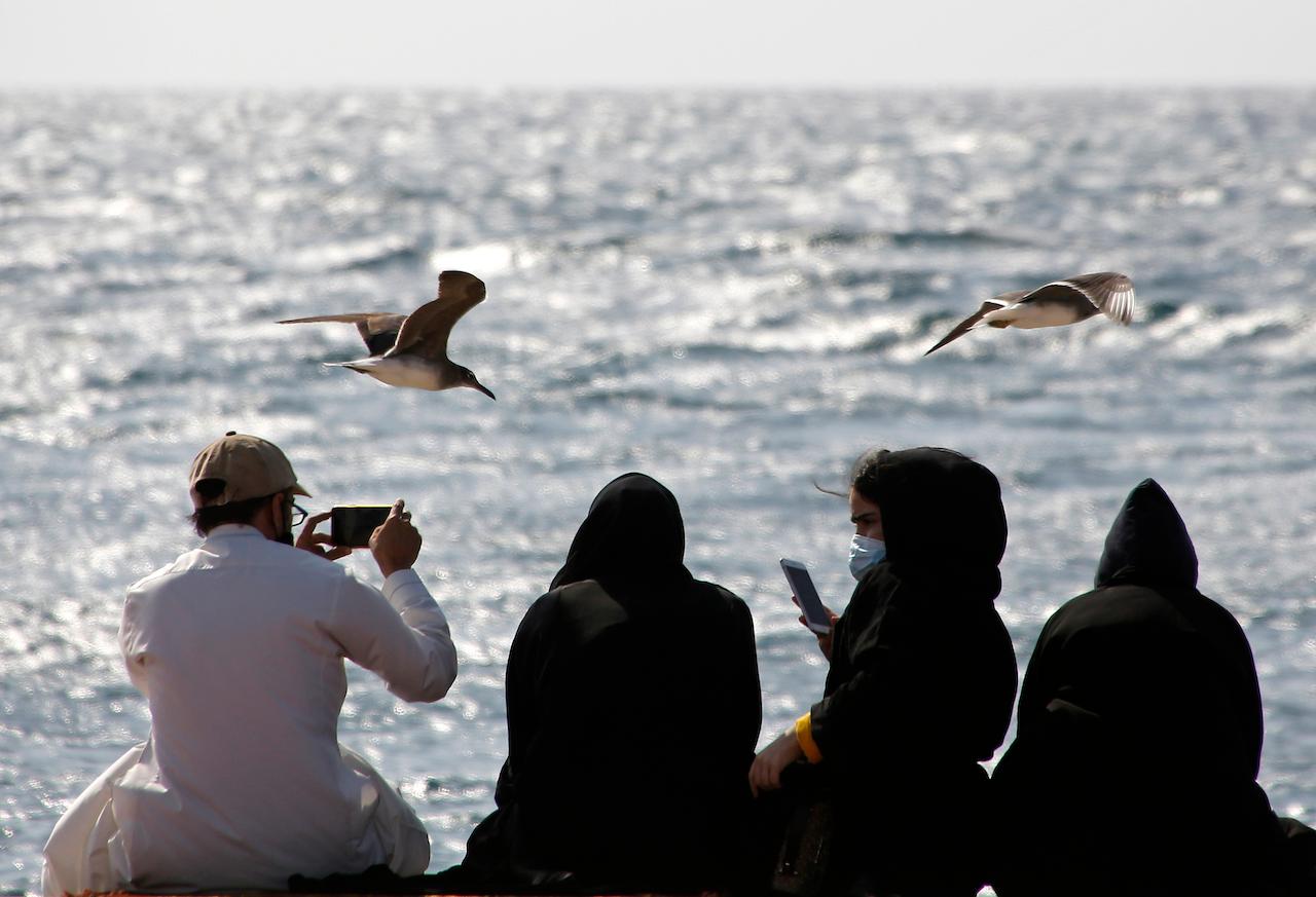 People watch and film seagulls flying over the Red Sea in the port city of Jiddah, Saudi Arabia, March 3. Photo: AP
