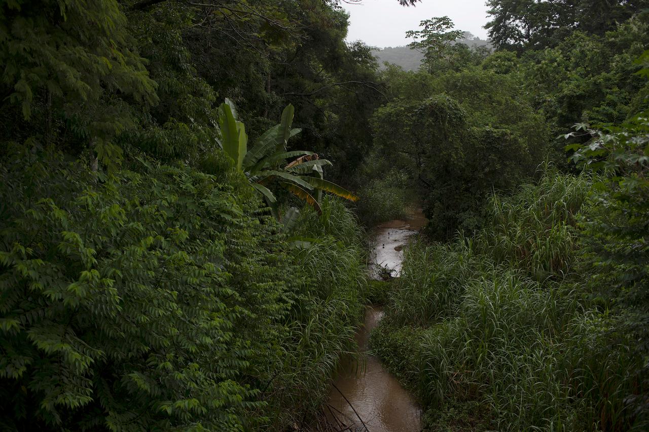 The Ana Felicia river flows through a reforested area in the rural neighborhood of Tingua in the Atlantic Forest, Rio de Janeiro state, Brazil, April 21. Photo: AP