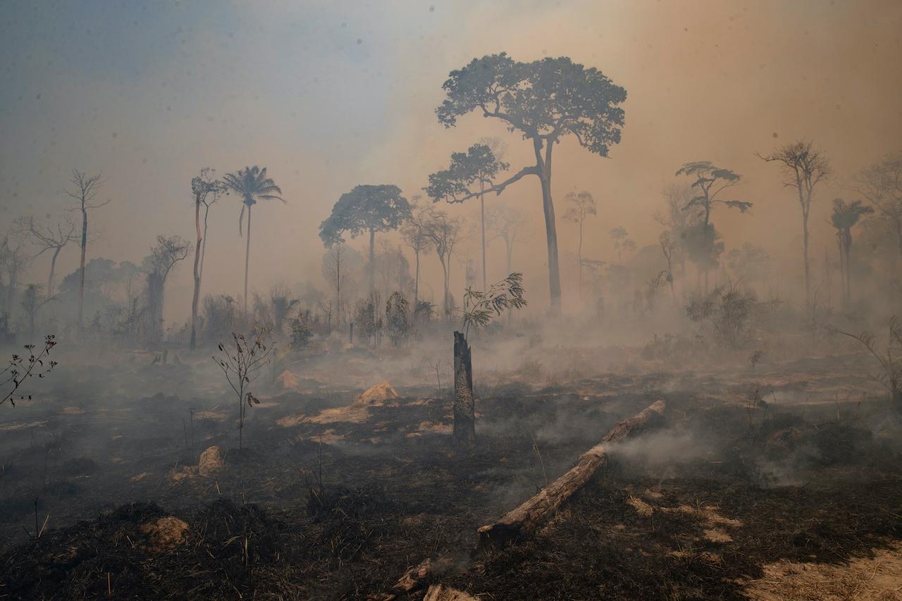Fire consumes land recently deforested by cattle farmers near Novo Progresso, Para state, Brazil, in this Aug 23, 2020 file photo. Photo: AP