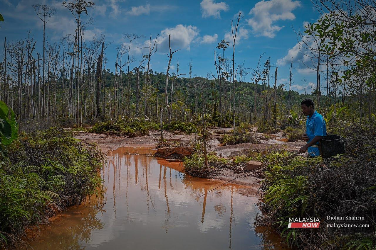 An Orang Asli from the Jakun tribe waits for fish to bite at what used to be a lush swamp at Tasik Chini in Pahang but which is now filled with sediment from nearby mining activities.