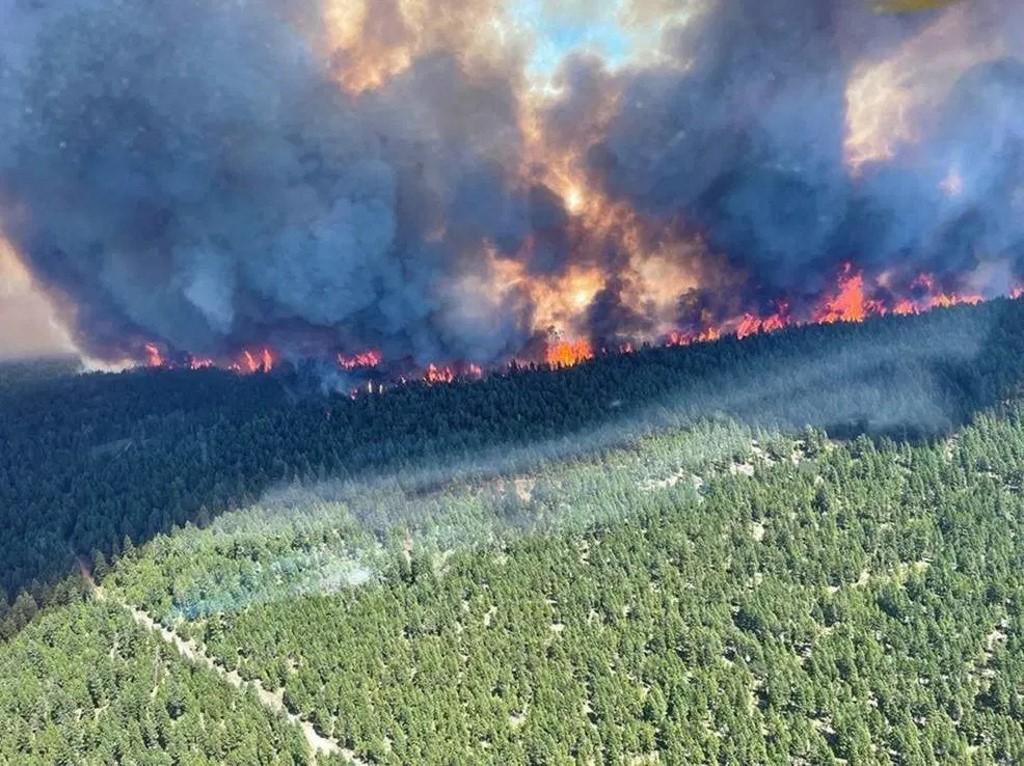 This handout photo courtesy of BC Wildfire Service shows the Sparks Lake wildfire, British Columbia, seen from the air on June 29. Photo: AFP