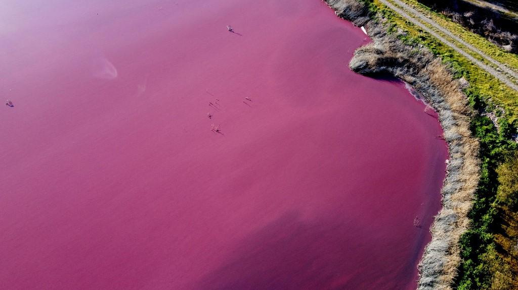 An aerial view of a lagoon that turned pink due to a chemical used to help shrimp conservation in fishing factories near Trelew, in the Patagonian province of Chubut, Argentina, on July 23. Photo: AFP