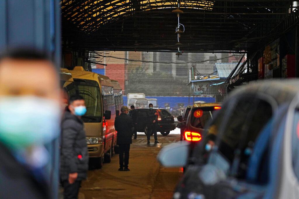 In this file photo dated Jan 31, a convoy of vehicles carrying a World Health Organization team enters the interior of the Huanan Seafood Market on the third day of a field visit in Wuhan in central China. Photo: AP