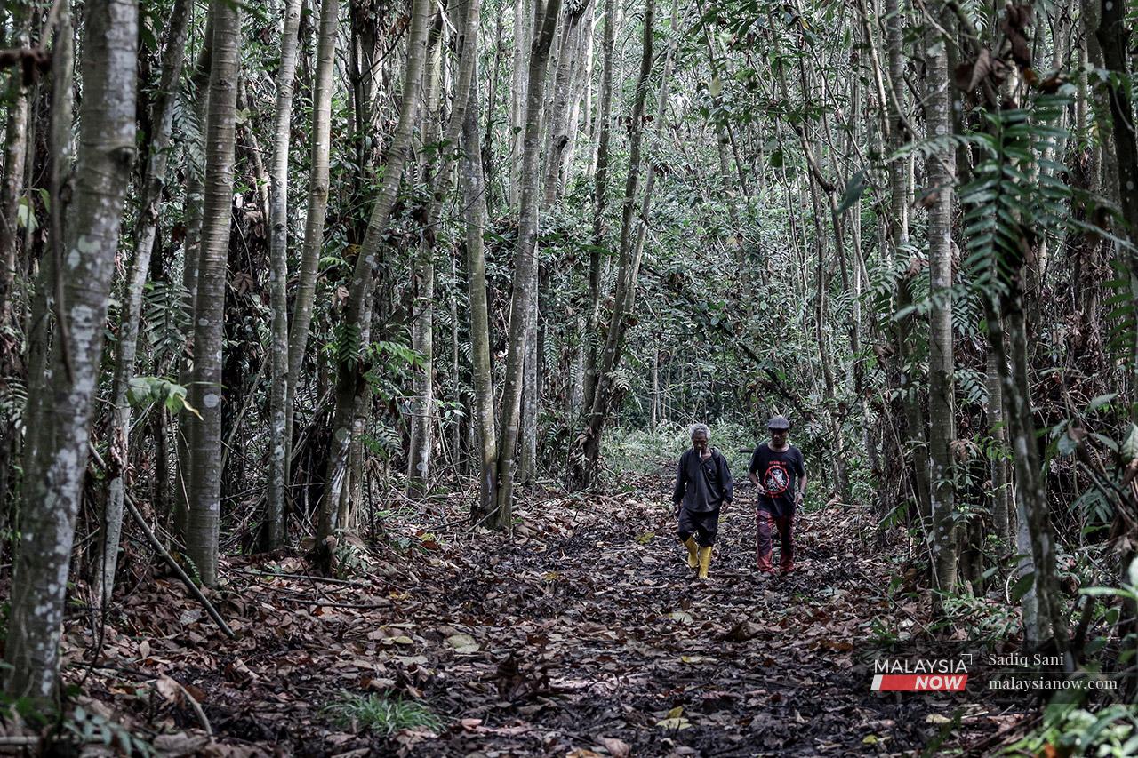 Orang Asli men from the Temuan tribe walk through the Kampung Orang Asli Pulau Moyang forest, one of the last remaining peat forests in the North Kuala Langat Forest Reserve.