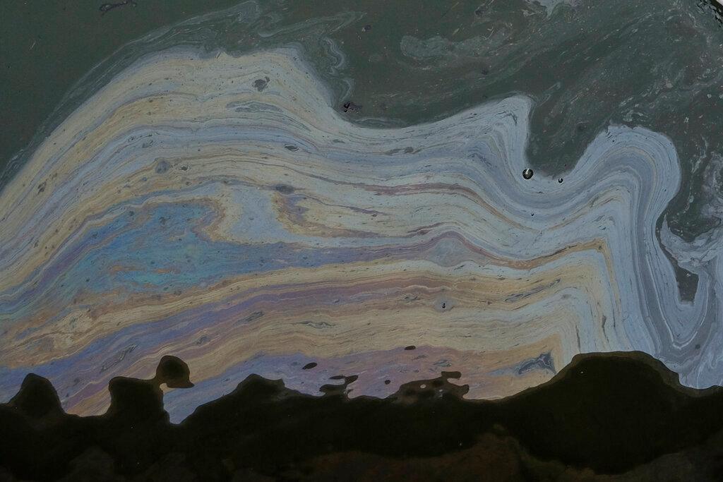 Oil floats on the surface of the water in an inlet leading to the Wetlands Talbert Marsh after an oil spill in Huntington Beach, California, Oct 5. Photo: AP