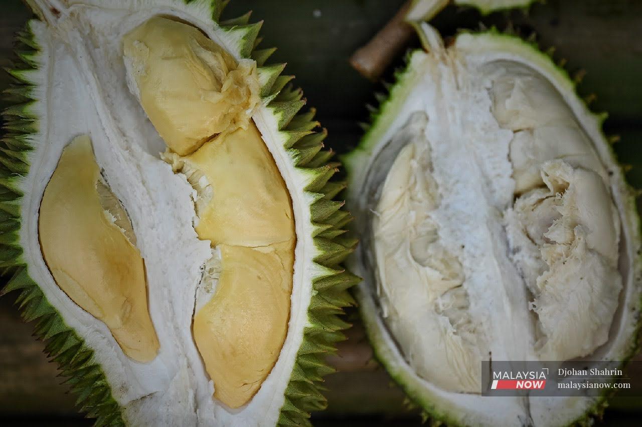 Grown across tropical Southeast Asia, fans love the 'king of fruits' for its bittersweet flavours and creamy texture.