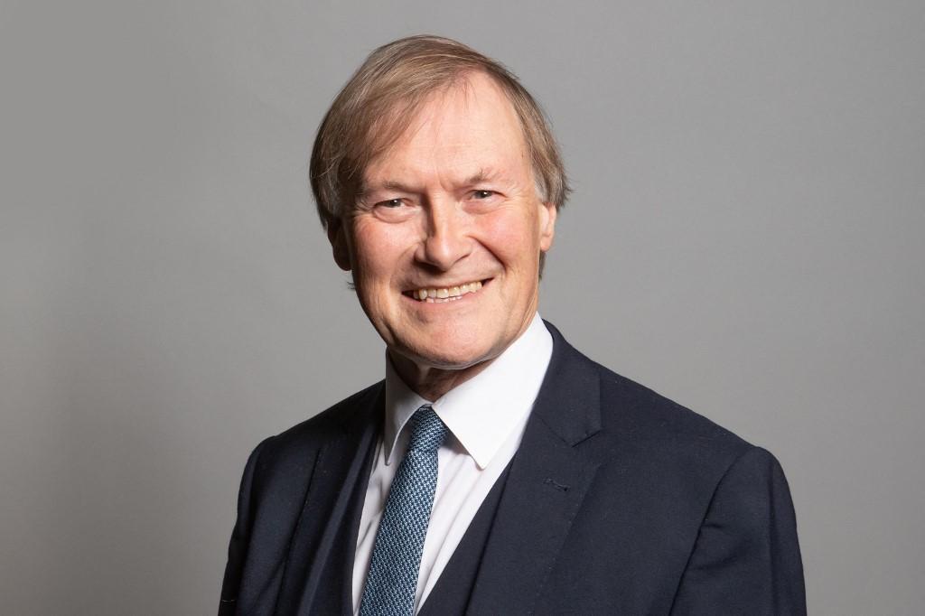 Southend West MP David Amess poses for an official portrait at the Houses of Parliament in London in this undated handout photo. Photo: AFP