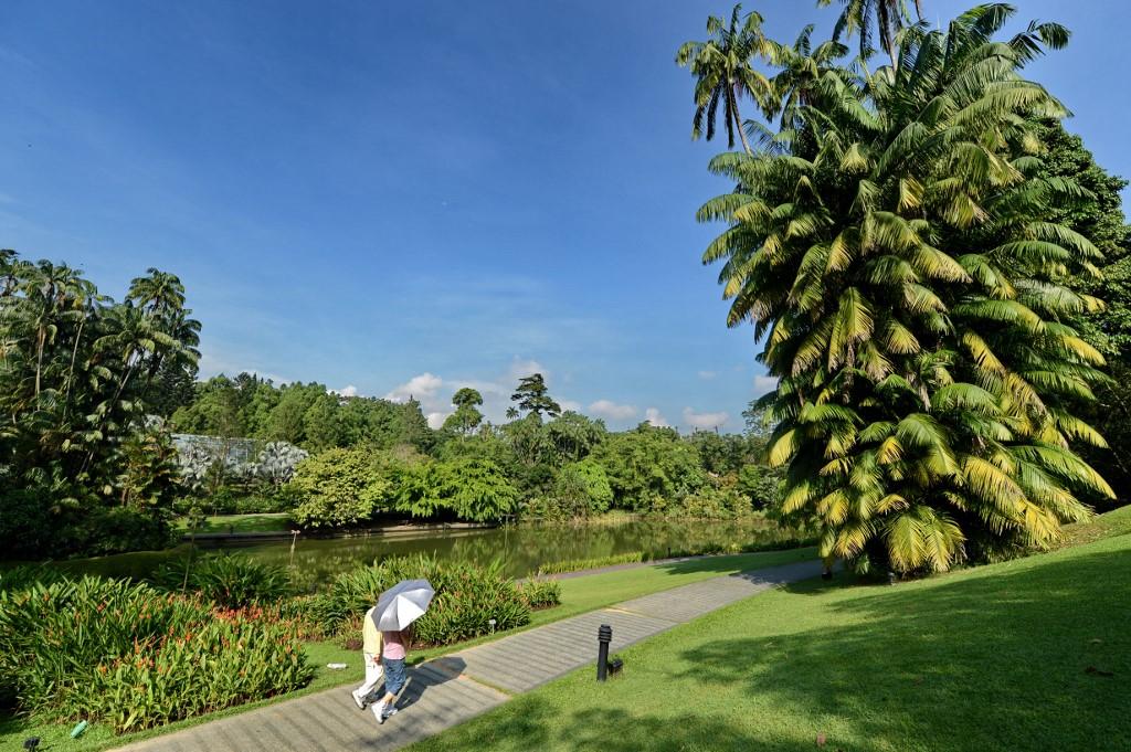 SINGAPORE-ENVIRONMENT-BOTANY-UNESCO