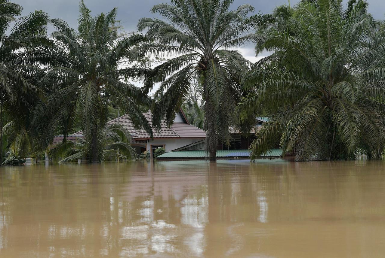 Houses in Kampung Spang Loi in Segamat remain submerged in water until roof level. Photo: Bernama