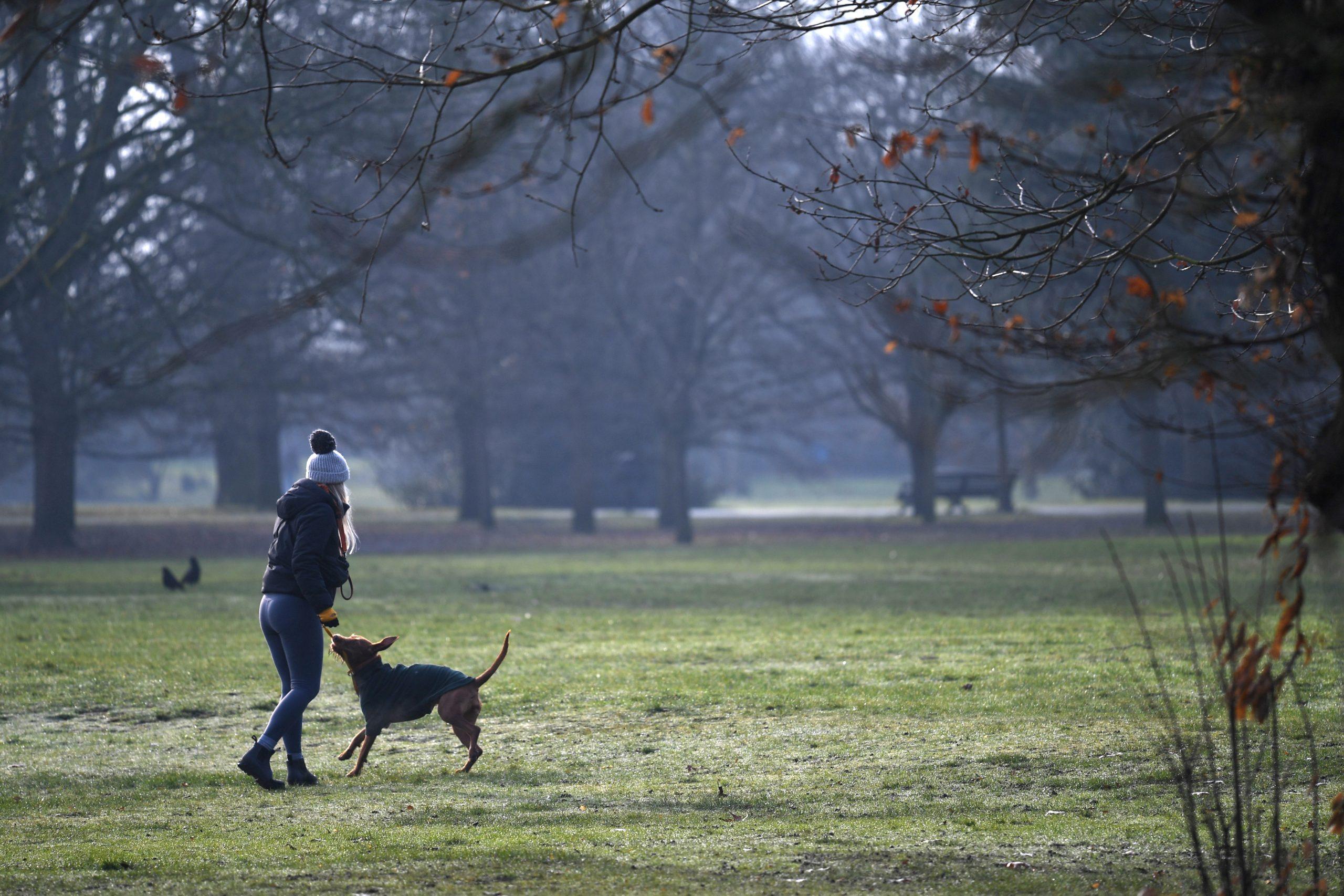 A woman plays with her dog as she takes her daily exercise in Greenwich Park, south east London on Jan 23, 2021. Photo: AFP