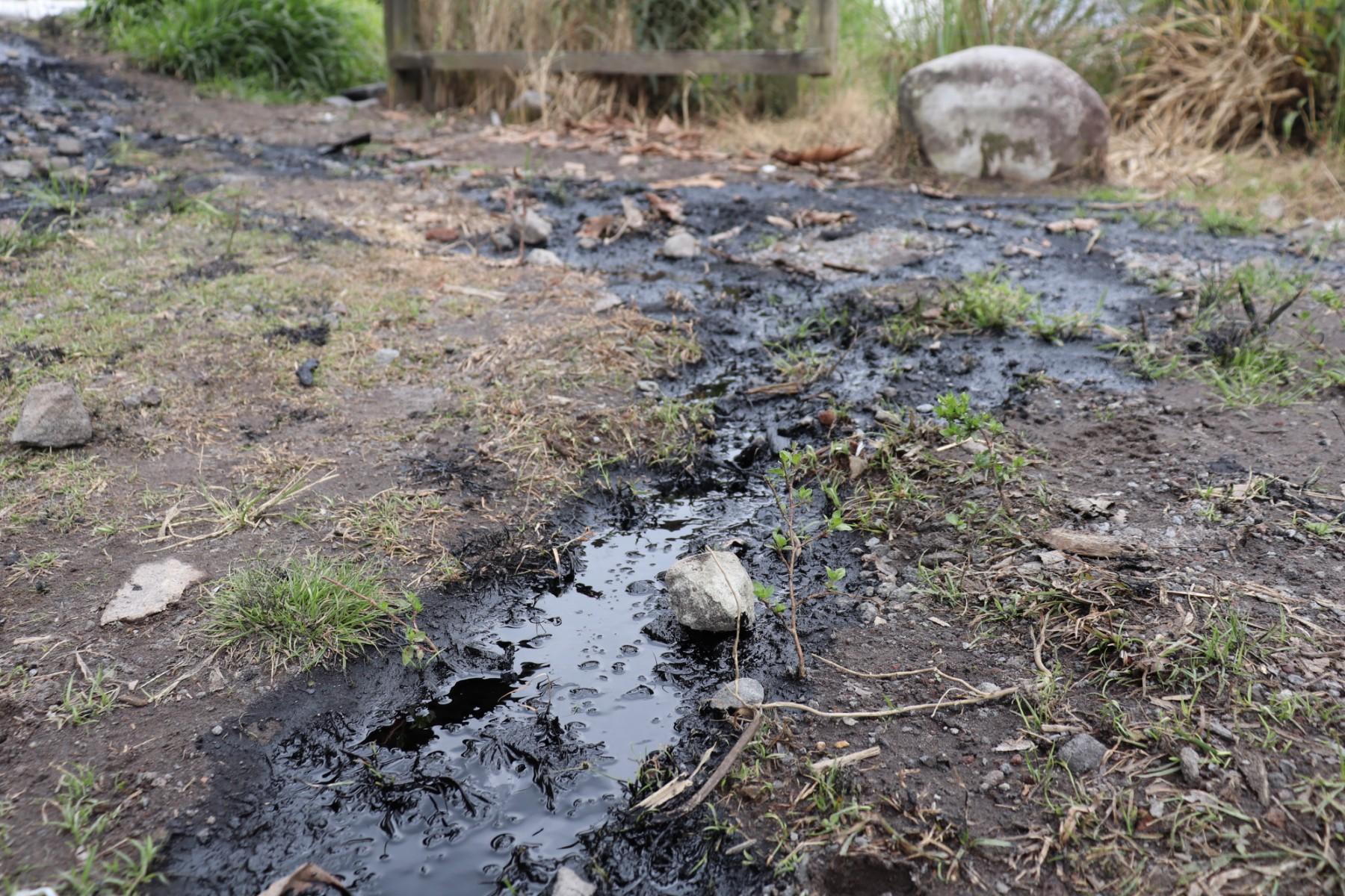 This handout picture released by Ecuador's environment ministry shows an oil spill in Piedra Fina, Ecuador, on Jan 29. Photo: AFP