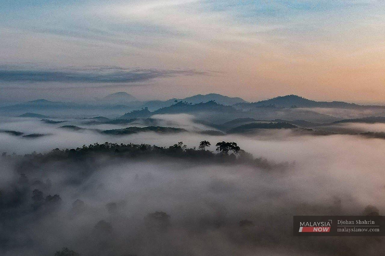 The morning sun rays filter through the blanket of mist covering the forests and hills of Taman Negara Kuala Koh in Kelantan, which is home to a huge number of plant and animal species.
