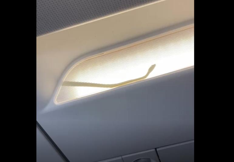 A picture of a snake in an overhead light on an AirAsia flight which has been making the rounds on social media.