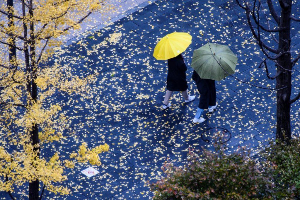 Pedestrians use umbrellas to shelter from the rain in Seoul on Nov 8, 2021. Photo: AFP