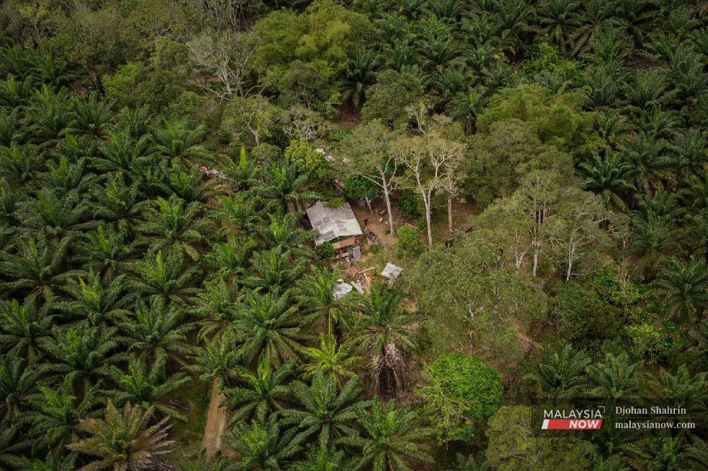 The world's top palm oil exporter has since April 28 halted shipments of crude palm oil and some derivative products to try to tame soaring prices of domestic cooking oil.