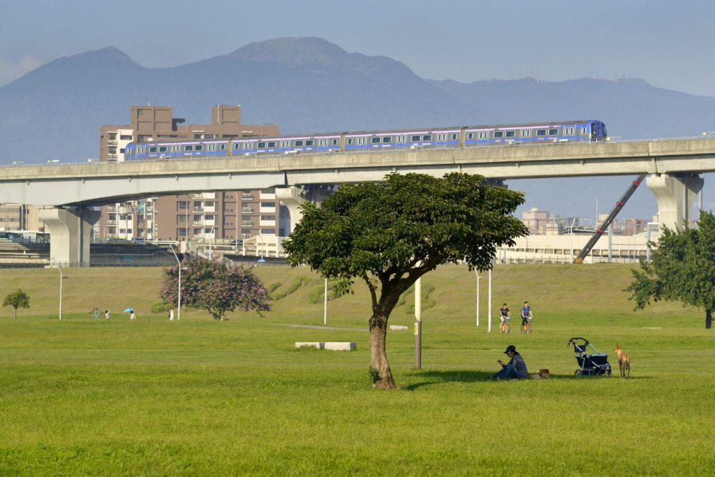 A woman reads under the shade of a tree as an airport train passes by a park in New Taipei City on Dec 3, 2018. Photo: AFP