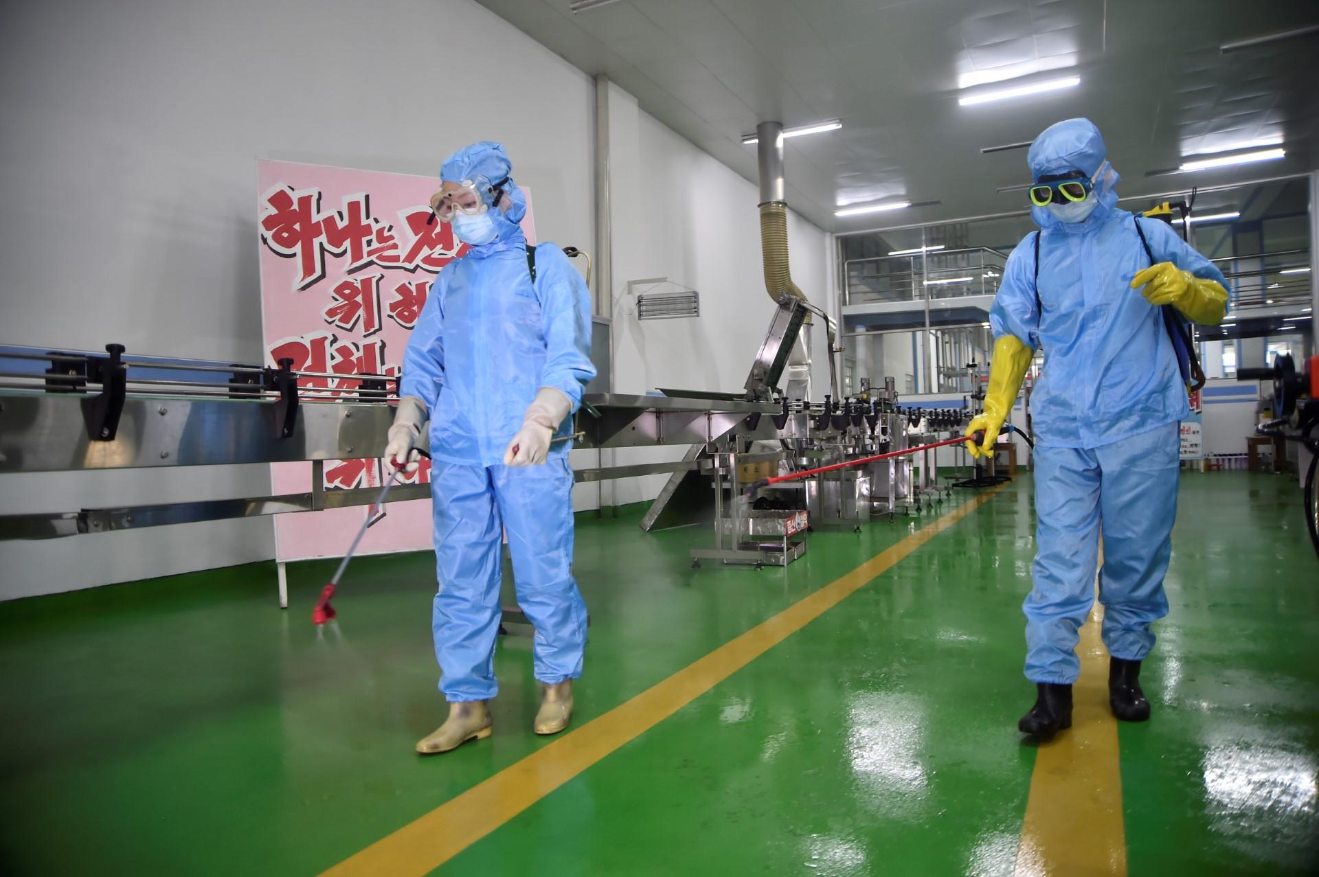 Health officials disinfect the floor of a soap factory in Pyongyang on June 13. Photo: AFP