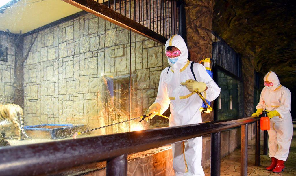 This undated picture released from North Korea's official Korean Central News Agency on May 20 shows employees of the Central Ideals Zoo disinfecting the zoo to prevent the spread of Covid-19 in Pyongyang. Photo: AFP
