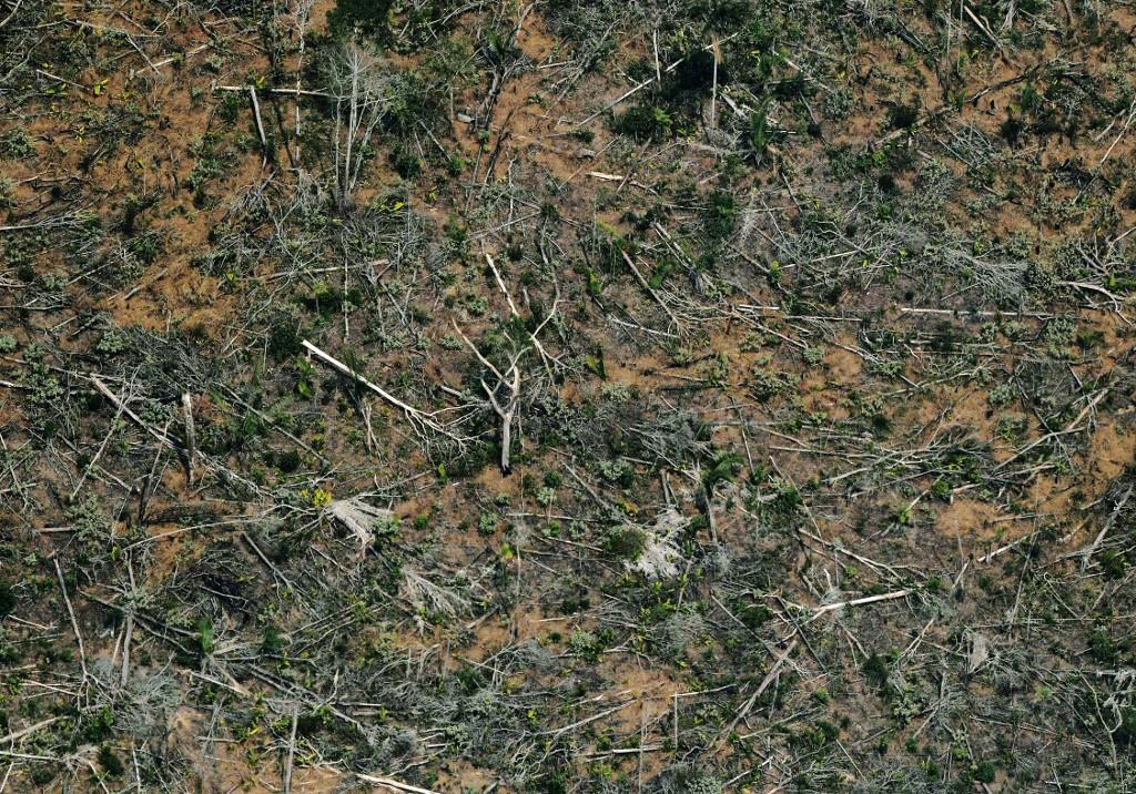An aerial view of a deforested piece of land in the Amazon rainforest near an area affected by fires, in the state of Rondonia, in northern Brazil on Aug 24, 2019. Photo: AFP